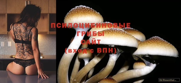 тгк Куйбышев