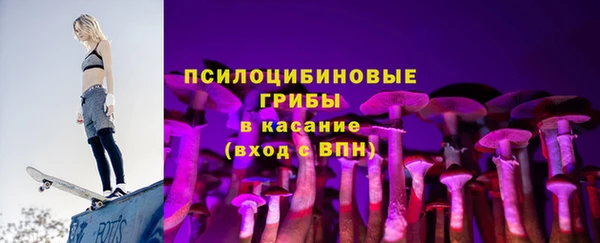 шишки Кулебаки