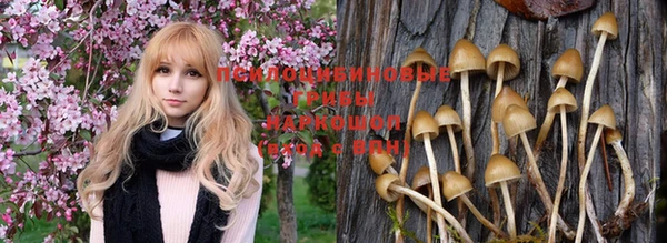 шишки Кулебаки