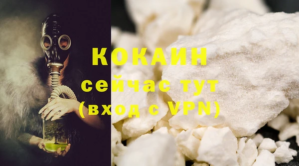 шишки Кулебаки