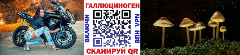 Галлюциногенные грибы Cubensis  Купить где  Игарка 